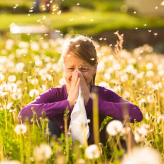 Summer Allergies