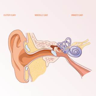 Conductive Hearing Loss